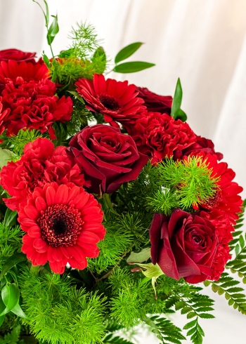 Red Sea Bouquet