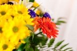 Vikiflowers send flowers online  