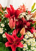 Vikiflowers send flowers online White Orange Bouquet